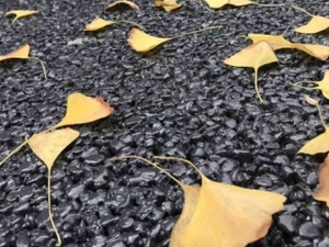 天然露骨料地坪